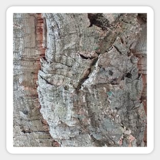 Cork Oak Tree Bark Texture 6 Sticker